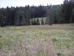 Hidden Lake Lot 13 